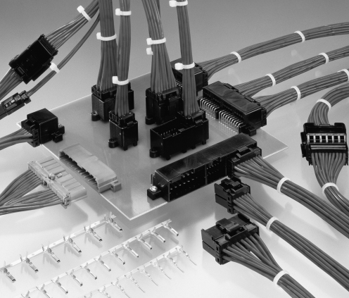 TE泰科MULTILOCK，母端和公端現貨庫存