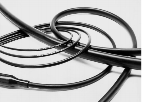 Raychem瑞侃 (14).png